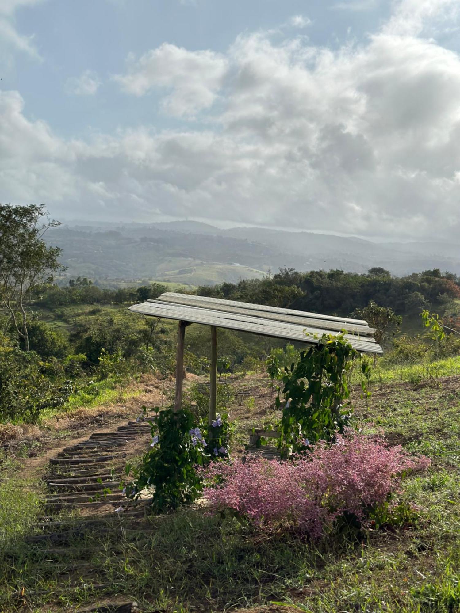 Casa Pedra Da Lua, Uma Casa Contemplar O Agreste. Gravata (Gravata, Pernambuco)