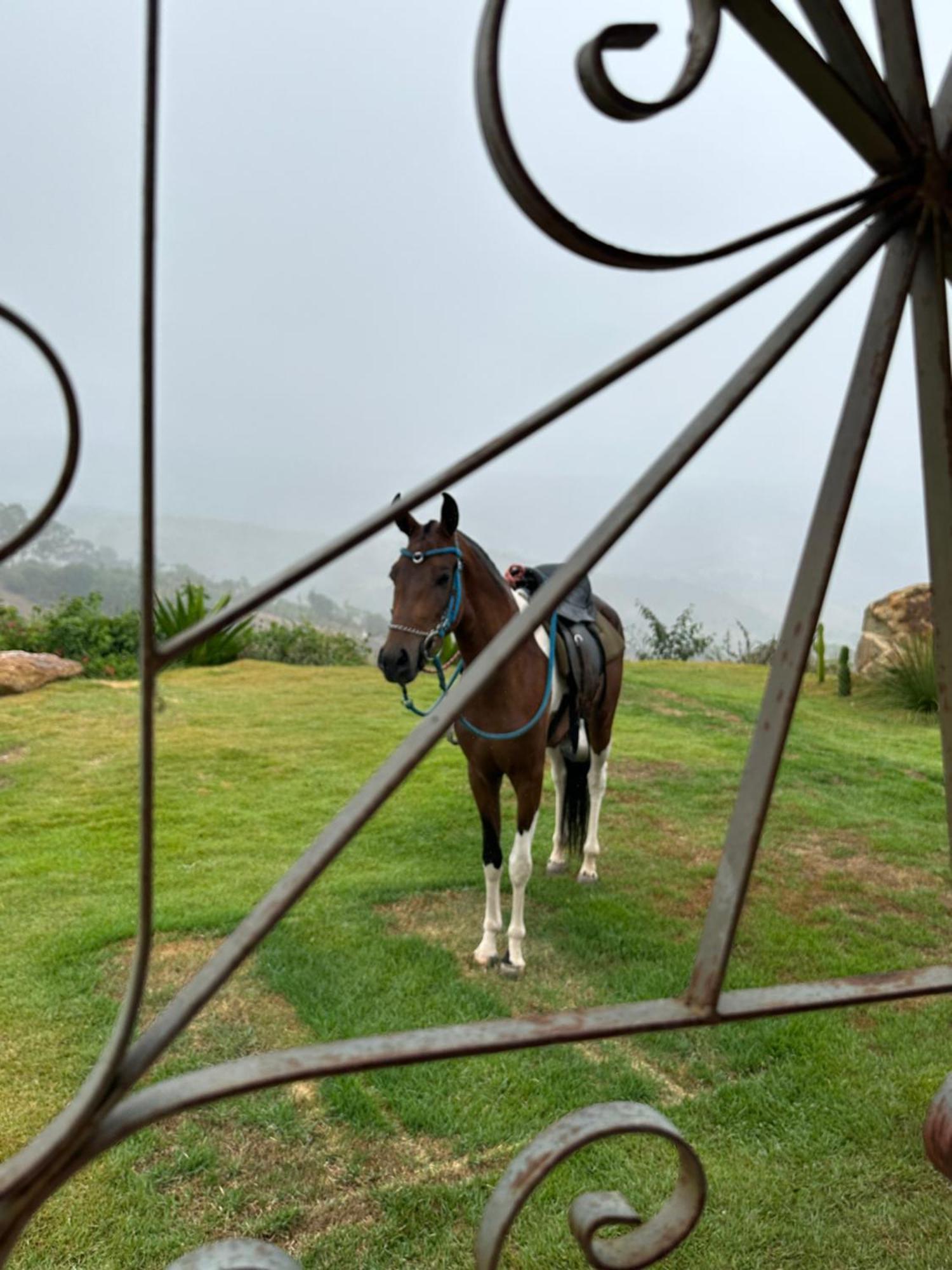 Casa Pedra Da Lua, Uma Casa Contemplar O Agreste. * Gravata (Gravata, Pernambuco)